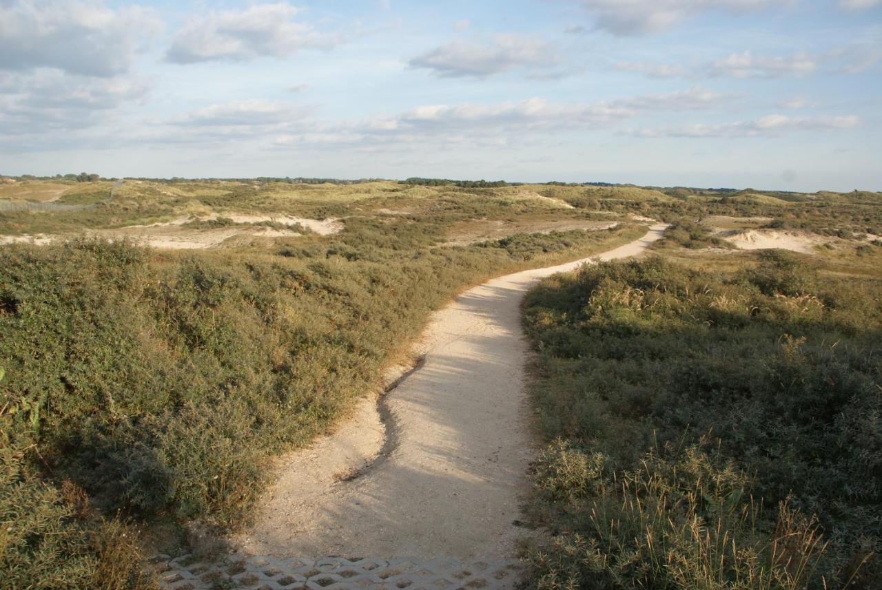 Huis Zeeduin Amsterdam Beach Zandvoort Bagian luar foto